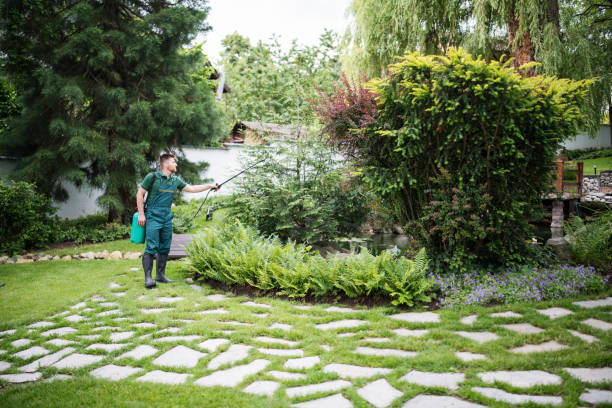 Best Pest Inspection Near Me  in Sergeant Bluff, IA