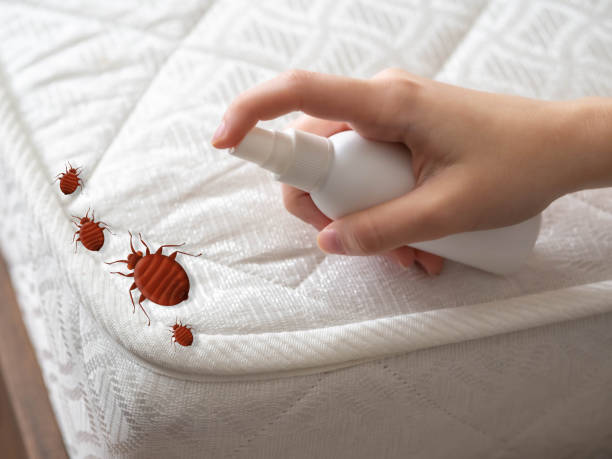 Best Pest Removal Services  in Sergeant Bluff, IA